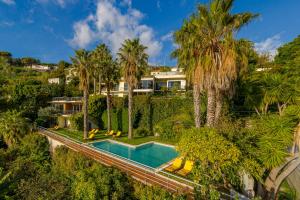 an aerial view of a house with a swimming pool and palm trees at Casa do Papagaio Verde in Funchal