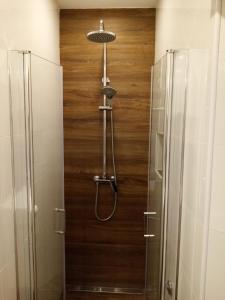 a shower in a bathroom with a wooden wall at Apartments Sunny Town in Korčula