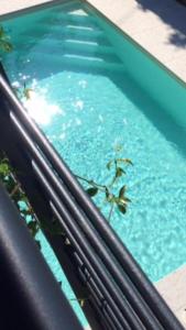 Una piscina de agua azul con una planta. en DEPENDANCE LAZISE LAGO DI GARDA en Lazise