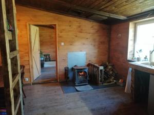 une chambre avec un poêle à bois dans une cabine dans l'établissement Agroturystyka Wiski 66, à Wiski