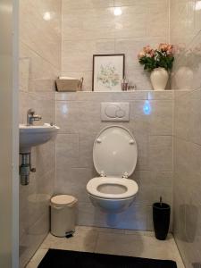 a bathroom with a toilet and a sink at Kluiskade 24 Maasland in Maasland +40 photos