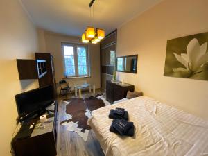 a bedroom with a bed and a desk and a television at Gdańskie Apartamenty - Garbary Rooms & Apartments in Gdańsk