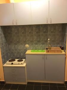 A kitchen or kitchenette at Vila Verona Sobe