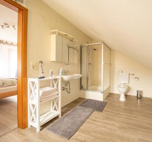 ein Bad mit einem Waschbecken, einer Dusche und einem WC in der Unterkunft Haus am Grafenbächle in Bad Rippoldsau