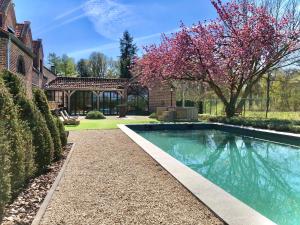 a swimming pool in the yard of a house at 't Averhuys in Itegem