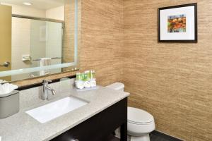 a bathroom with a sink and a toilet and a mirror at Holiday Inn Express & Suites Peekskill-Lower Hudson Valley, an IHG Hotel in Peekskill