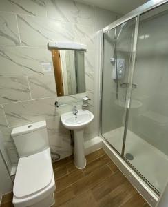 a bathroom with a toilet and a shower and a sink at PremierLux Serviced Apartments in Ilford