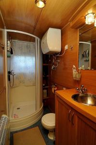 a bathroom with a shower and a toilet and a sink at HOUSEBOAT Mazury Frajda in Giżycko