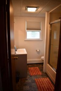 baño con lavabo y ventana en Brook Road Condo, en Goshen