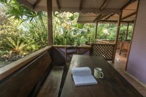Κήπος έξω από το Casa Violeta Beach House in Punta Uva