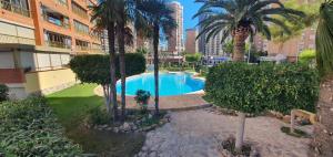 a swimming pool with palm trees and a building at ADELFAS - Fincas Arena in Benidorm