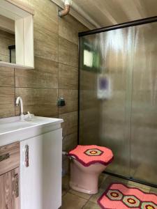 a bathroom with a shower and a toilet and a sink at Casa Alternativa Pedacinho do Céu in Urubici