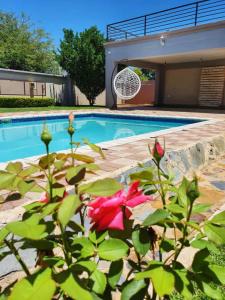 a house with a swimming pool with a red flower at Homey Guesthouse in Gaborone
