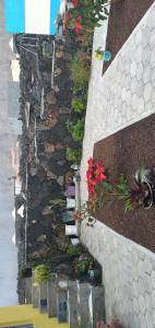 ogród z kwiatami na kamiennej ścianie w obiekcie Ciza e Rose w mieście Portela