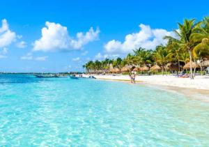 a beach with palm trees and a beach with blue water at Apartamento Frente a la Playa Cancun Mexico in Cancún