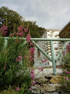 Gallery image of Summer Sunrise Andros in Andros