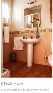 een badkamer met een wastafel, een spiegel en een toilet bij El mirador 1 in Alcalá del Júcar