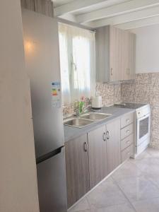 una cucina con frigorifero in acciaio inossidabile e lavandino di Kelly's studio SISAMOS a Karpathos