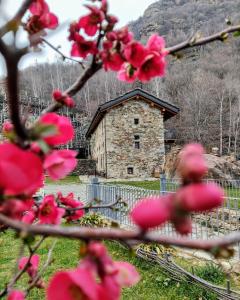 a stone building with pink flowers in front of it at B&B Al Vecchio Torchio in Settimo Vittone