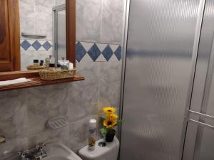 a bathroom with a shower and a toilet and a sink at Apartamento Balcones de La Villa 2 in Villa de Leyva +30 photos