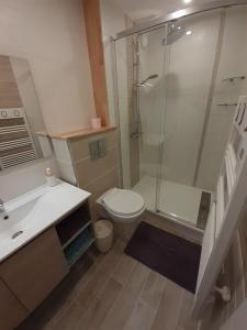 a bathroom with a shower and a toilet and a sink at Studio Centre - Tout Confort - Tout à pied in La Baule