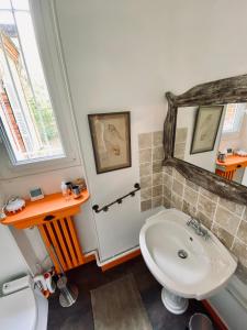 a bathroom with a sink and a mirror at Château Les Villiers - Au cœur de la Sologne in Villeny