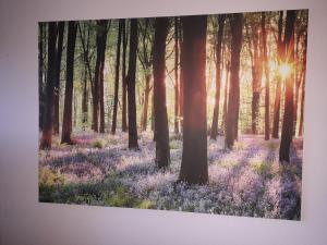 Fotografie z fotogalerie ubytování Heidehaus Hodenhagen v destinaci Hodenhagen