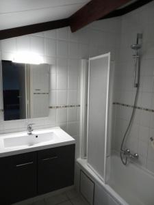a bathroom with a sink and a shower with a mirror at Strandjutter huisje 8 in Middelkerke