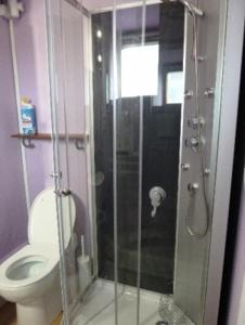 ヴィッテルにあるJoli studio dans un ancien hôtel du XIX siècle - Proche toutes commodités - Thermes et Parcのトイレとガラスのシャワー付きのバスルーム