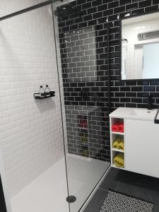 ein Bad mit einer Dusche, einem Waschbecken und einem Spiegel in der Unterkunft IDEAL TOWER DUIN EN ZEE in Blankenberge