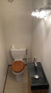 a bathroom with a toilet with a wooden seat at Résidence au coeur d'Argentière in Chamonix-Mont-Blanc