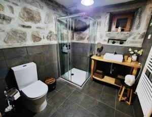 a bathroom with a shower and a toilet and a sink at Cardenha da Bessada in Branda de Santo António +52 photos