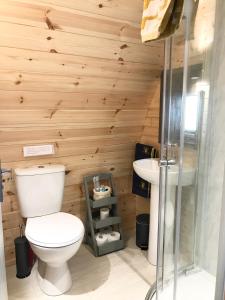 a bathroom with a toilet and a sink at Lough Erne Glamping Pod in Enniskillen