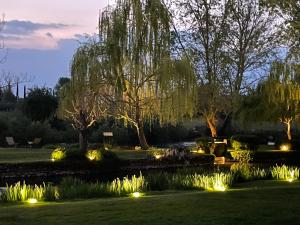 un jardín por la noche con luces en el césped en La Finestra sul Fiume, en Valeggio sul Mincio