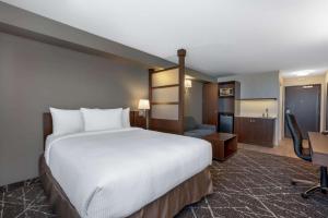 a hotel room with a large bed and a desk at Microtel Inn & Suites by Wyndham Portage La Prairie in Portage La Prairie