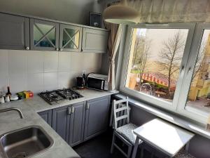 A kitchen or kitchenette at Apartament Unikat