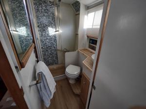 a small bathroom with a toilet and a shower at BED&BOAT boatandholiday in Fano