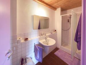 Koupelna v ubytování B&B Campodisole