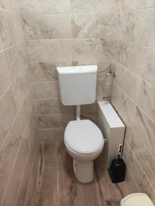 a bathroom with a white toilet and a tiled wall at AIDA Apartman in Gyula +15 photos