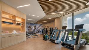 Fitness centrum a/nebo fitness zařízení v ubytování Holiday Inn Express Beijing Yizhuang Tongming Lake By IHG