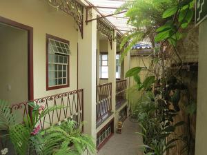 a hallway of a house with plants and a greenhouse at Pousada Ouro de Minas Diamantina in Diamantina