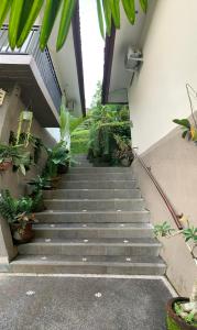 Zahrada ubytování Gek House Ubud Bali