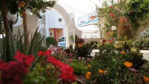 A garden outside Idi