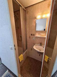 uma casa de banho com um chuveiro, um lavatório e um espelho. em Hotel & Restaurant Krone em Rehau