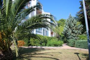 a palm tree in front of a building at Studio Mezzanine, Residence avec piscine in Sète