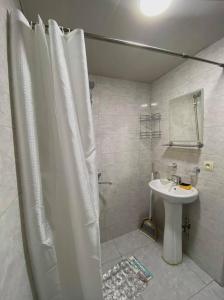 uma casa de banho com uma cortina de chuveiro e um lavatório em Eka's House em Tbilisi