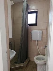 a bathroom with a toilet and a sink and a window at Apartman Andrijana 1 in Soko Banja