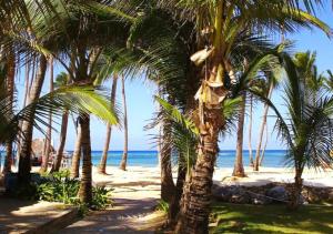 a group of palm trees on a beach with the ocean at Apartamento Vacacional con Piscina para Familias en Punta Cana in Punta Cana