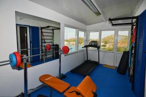 Fitness centrum a/nebo fitness zařízení v ubytování Deck2 Syros Premium Apartments