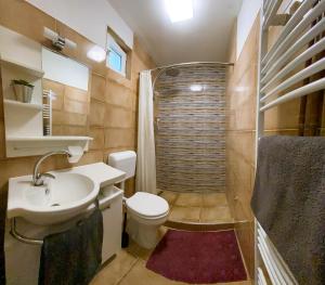 a bathroom with a sink and a toilet and a shower at Julia Apartman in Pačir